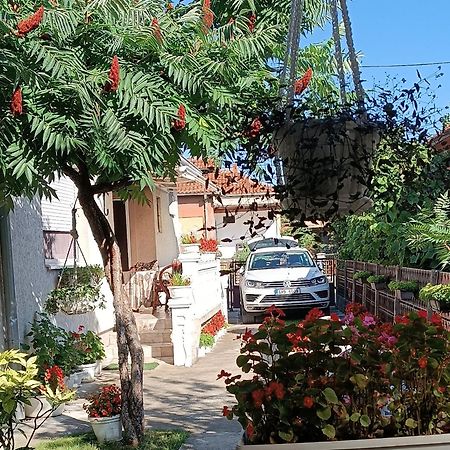 Apartman "Dom Stankovica" Pirot Eksteriør billede