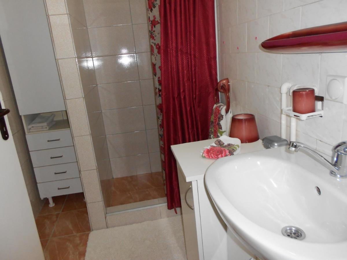 Apartman "Dom Stankovica" Pirot Eksteriør billede