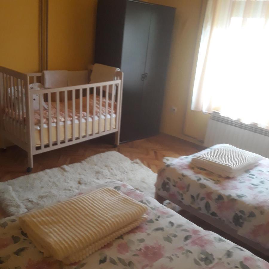 Apartman "Dom Stankovica" Pirot Eksteriør billede
