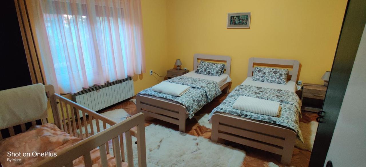 Apartman "Dom Stankovica" Pirot Eksteriør billede