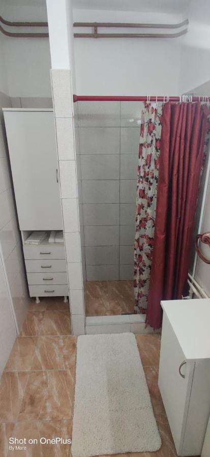 Apartman "Dom Stankovica" Pirot Eksteriør billede